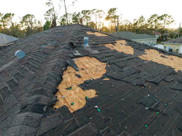 Professional Roofing Services in Blue Ridge, GA